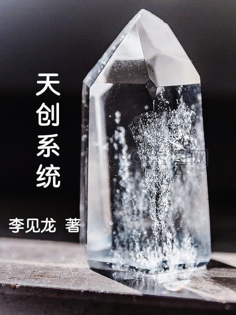 天创系统 李见龙