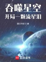 吞噬星空开局一颗流星泪章节列表