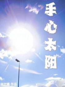 手心太阳番外