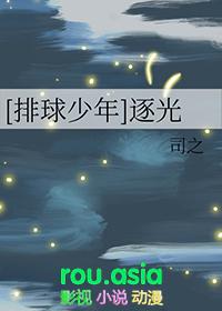 排球少年之追逐