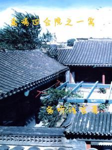 小伙重回禽满四合院