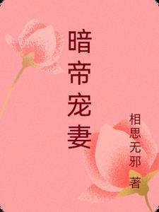 暗帝宠妻太凶