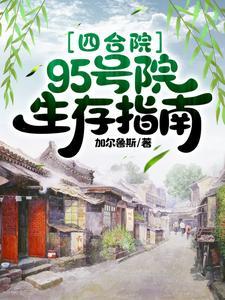 四合院95号院生存指南