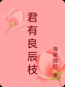 歌曲与君共良辰