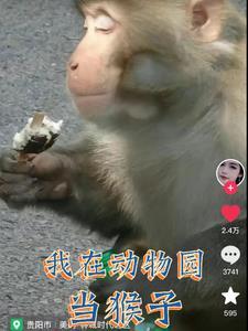 我在动物园里面是真的吗