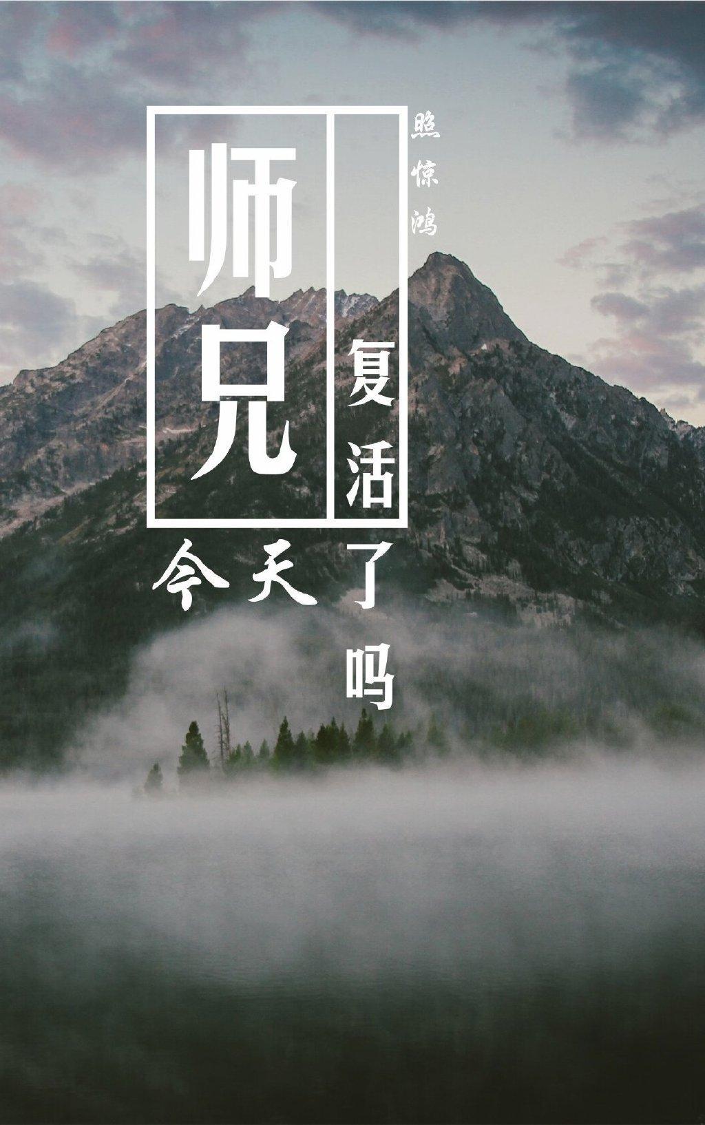 师兄今天复活了吗白桃仙茶