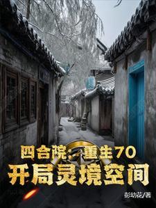 四合院重生59开局满级垂钓