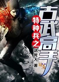 特种兵之古武高手王天羽受伤