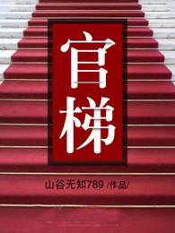 官梯王鸿涛无弹窗免费全文阅读