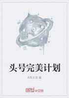 小冤家完美计划读后感