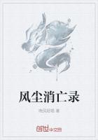 拳师风尘录