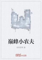 青岛小农夫