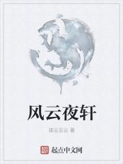 风云卿和轩辕夜阑是什么