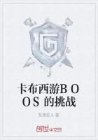 卡布西游抗古守护者可以打什么boos