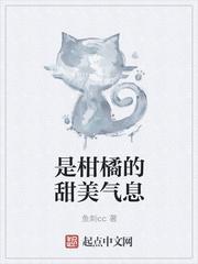 是柑橘的甜美气息刺猬猫