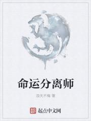 分离师哪里找