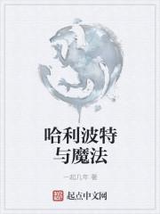 哈利波特与魔法石中文版