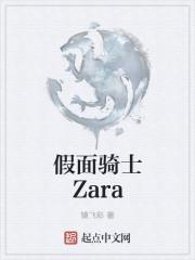 假面骑士zain