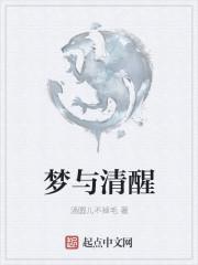 清醒与梦境交织