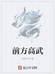 前方高能指什么