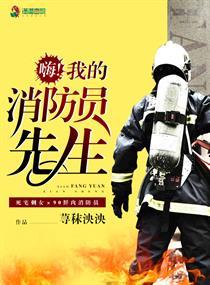 我的消防员先生有声