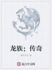 龙珠传奇大结局