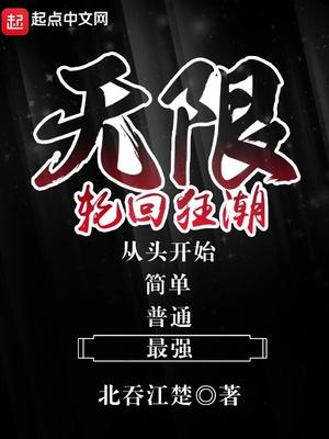 无限轮回讲的什么