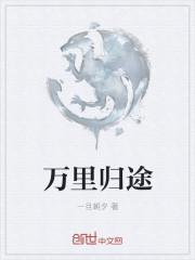 万里归途讲了什么