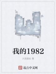 我的1982起点