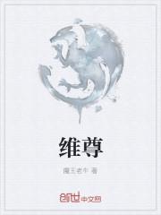 维尊律师事务所