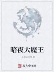 暗夜魔王dota