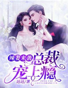 闪婚来袭总裁眷宠